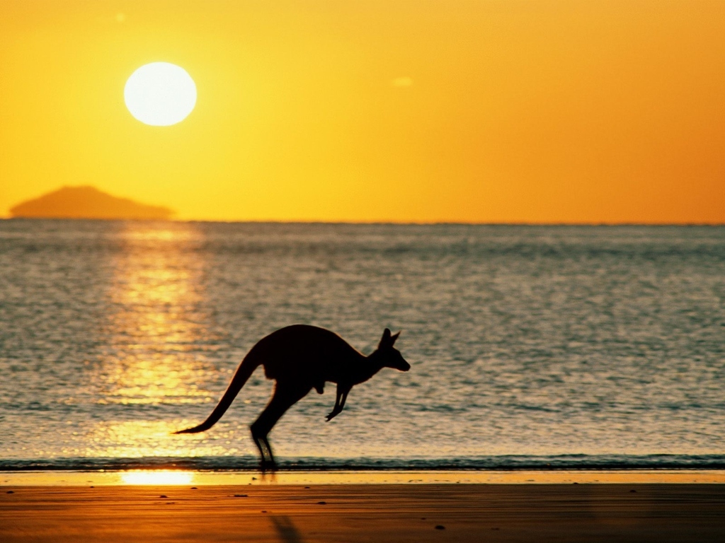There's even a kangaroo
