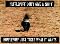 Apparently JK Rowling was going to make the Hufflepuff mascot a bear, but upon further consideration must have realized that bears care too much.