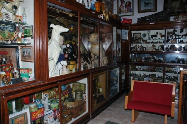 If you’re a dog enthusiast, welcome to heaven! The Dog Museum is truly one of a kind. It features seven THOUSAND dog-centric items on display. They have everything from dog salt and pepper shakers to a taxidermied bulldog from the 1800s…no, I’m not kidding. It’s truly something you might have to see to believe.