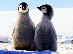Lookin' sharp, though!