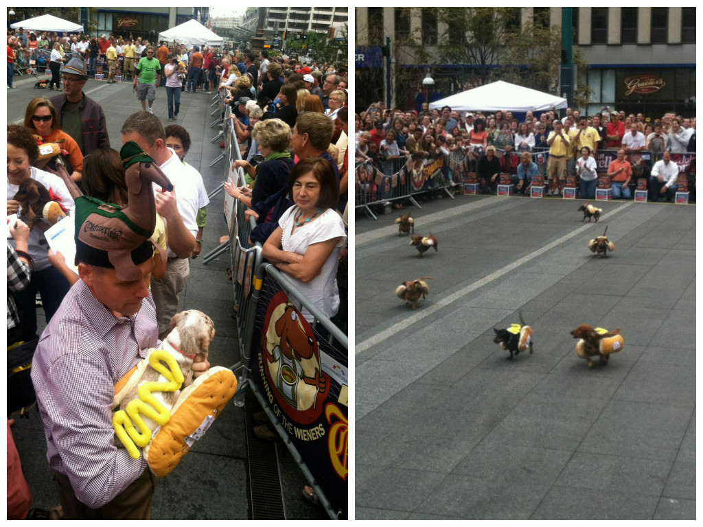 Dogs in costumes FTW.