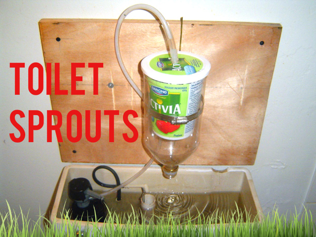 An easy to remove chamber for sprouting beans with water you'd otherwise flush down the toilet like some sort of wastrel. You'll give new meaning to the term "dirty hippie" with this toilet tank hydroponic setup, but the sprouts are probably no worse than the moist, wan, and sticky ones you get from the grocery store. Though E. coli is more of a risk in the room where you mist the air with flatulence and sprinkle the rear of the bowl with occasional splash-back. Ever so slightly riskier than the supermarket, but you'll save some cash on sprouts, and your sandwiches will whiff of danger.