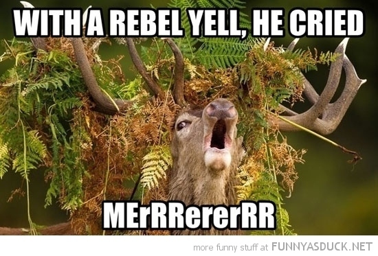 Tomorrow we look into the rebel culture of the animal kingdom. Looking forward to it.