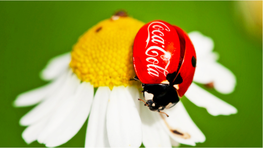 Who doesn't love Ladybugs?