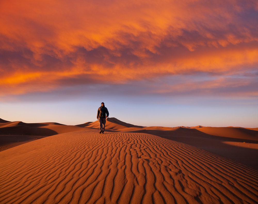 The Namib-Naukluft National Park in Namibia is the largest game park in Africa and the fourth largest in the world. It is notable for having the largest sand dunes in the world, with some reaching 1,000 feet.