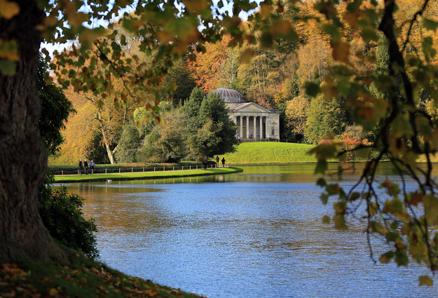 100 Photos Of Leaves Changing Color To Get You Ready For Fall