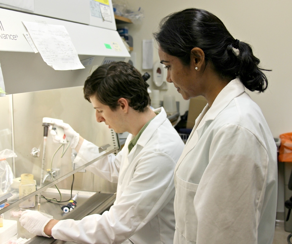 VCU students from majors across both campuses are engaged in cancer research at Massey.Justin Sperlazza and Megha Desai are both fifth year M.D./Ph.D. students in VCU's Department of Cancer and Molecular Genetics. They currently work in the lab of Dr. Gordon Ginder, Massey's director.
