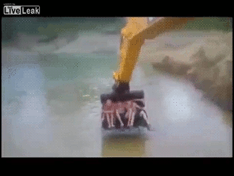 One of those "WTF???" and "This is the coolest thing ever!!!" moments combined together.