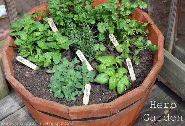 If you have fresh herbs and vegetables at your fingertips, you'll be more likely to cook at home.