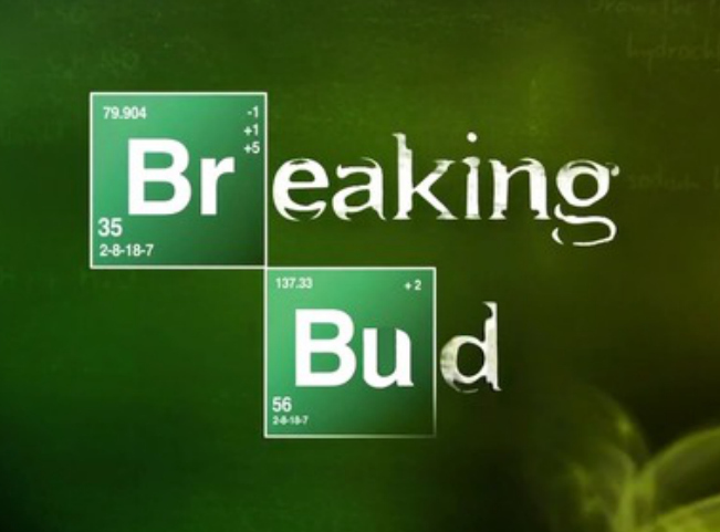 In 10 years, Marijuana will probably be legalized. Look for your first "Breaking Bad" spin-off.