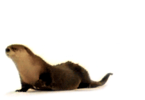 For additional cuteness, just add water.
