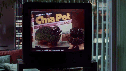 Okay, this is a Chia Pet. The seeds are less bizarre/adorable.