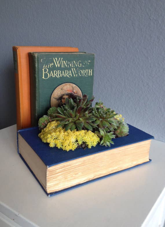 Planter available here.