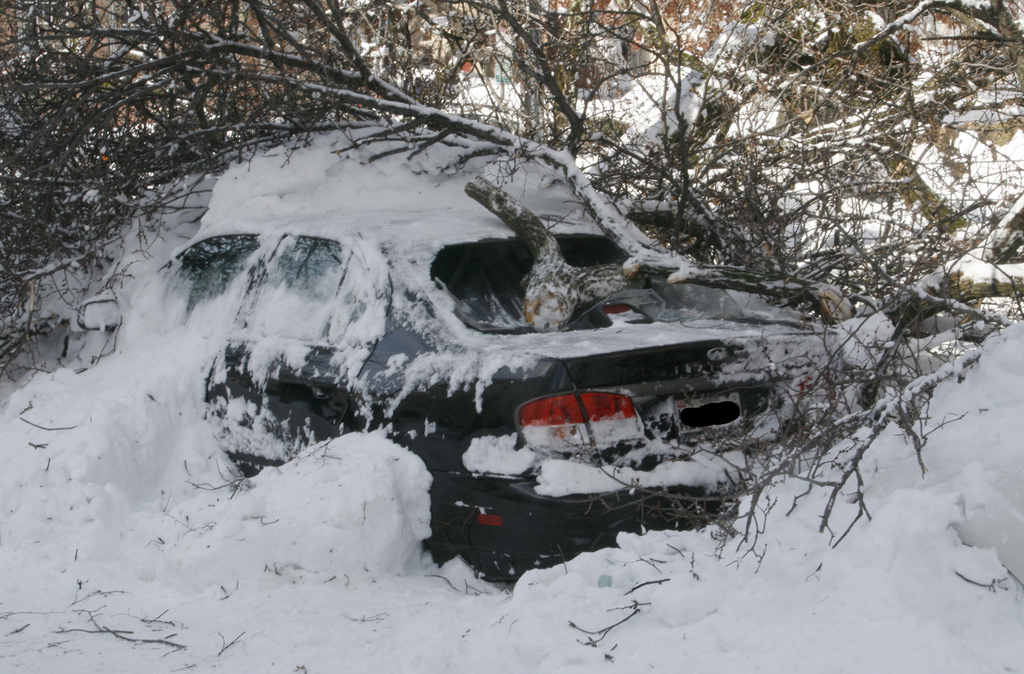 This unknown man was found huddled in a sleeping bag in his car in Sweden after two snowbound months. He had virtually no food, and authorities were completely confused as to how he survived. Turns out he essentially became a bear. Due to the low temperature, his body switched to a temporary state of dormancy. So, yeah, he hibernated. When death came to get him, he said nahh, I'm a bear now.