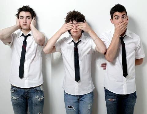 Everyone loves to hate boy bands and the Jonas Brothers filled that void.