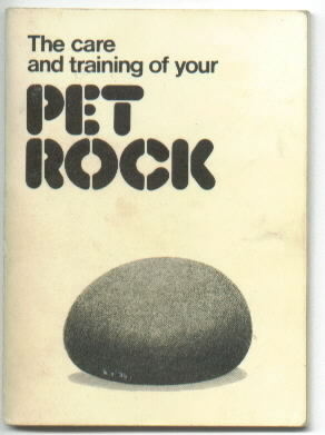 Last but not least are fads. If you much rather play with a pet rock in a bean bag than watch Gangam Style videos, congratulations you're a Baby Boomer! Rock on.