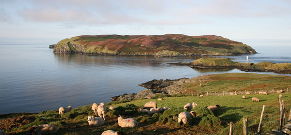 The Calf of Man