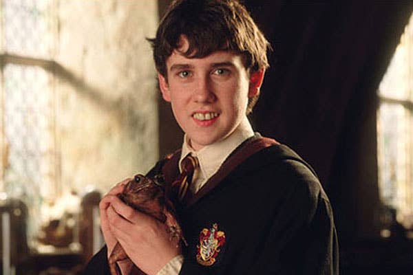 Neville Longbottom Turned Into A Beautiful Swan