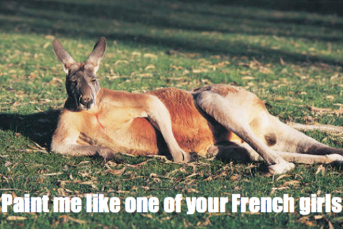 10 Best Australian Animal Memes