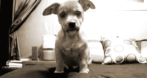 Save your pee pee dance and hand chewing for your own time.