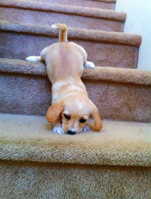 Taking the stairs can shrink your waist by almost 2% in 12 weeks.