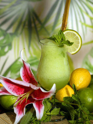 Obviously a mojito in smoothie form is a good idea.