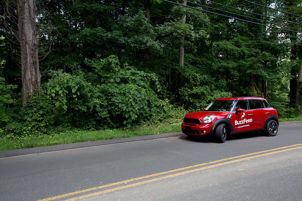 He often referred to New England as "a jungle."