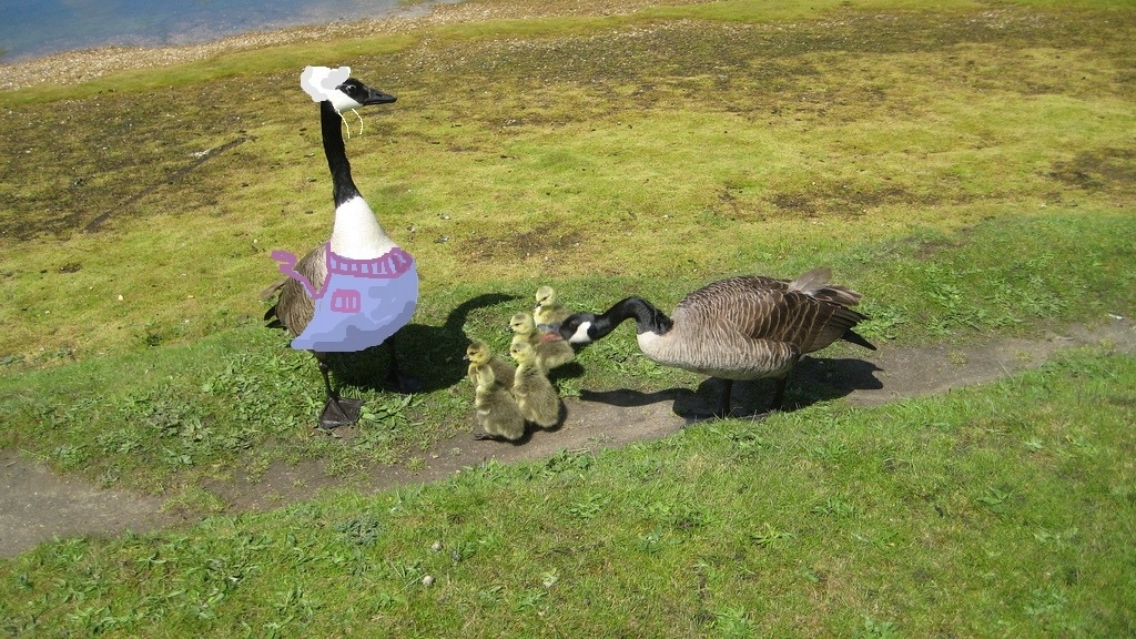 Celebrate Mother Goose Day by reciting nursery rhymes and, for dinner, cooking a juicy, delicious--oh, um. Salad. Cook a juicy salad.