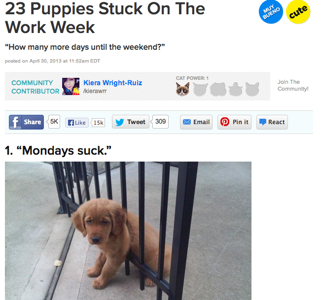 I'm able to find a hook, apply BuzzFeed's tone, and make it interactive. Take my puppy post, it has almost 300,000 views.