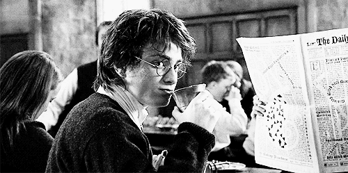 J.K. Rowling est restée volontairement floue dans son épilogue situé dix-neuf ans après la mort de Voldemort. Mais dans des interviews accordées après la sortie du dernier livre, elle dévoile plus sur le sort de ses héros. Une fois débarrassé de Voldemort, Harry intègre le bureau des Aurors au Ministère de la Magie, qu'il finit par diriger quelques années plus tard.