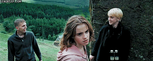 Après avoir défendu les droits des elfes de maison au département de contrôle et de régulation des créatures magiques, Hermione intègre le département de la justice magique et y gravit vite les échelons.