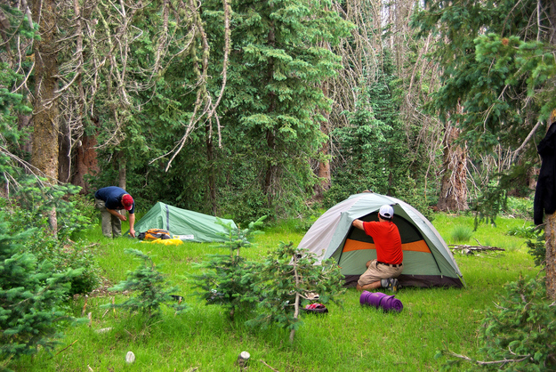 Pitch your tent entrance facing into the wind to discourage mosquitos from congregating.