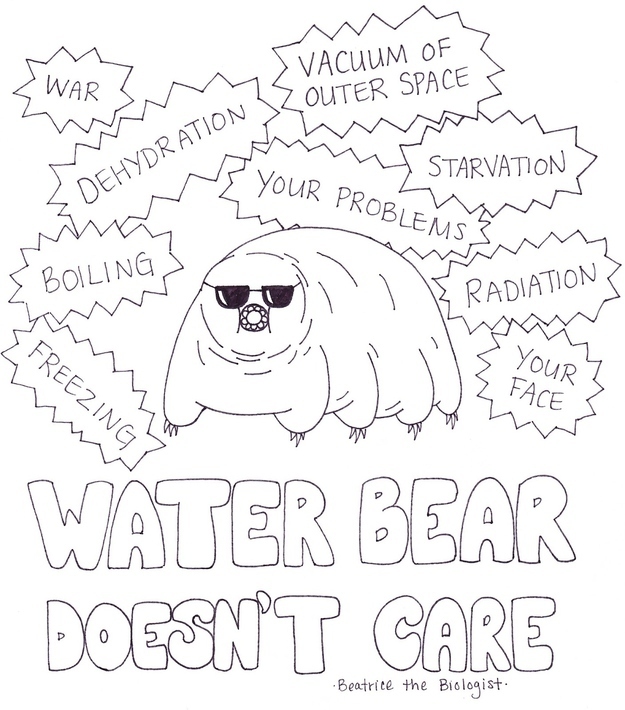 Water bear don't care. Water bear don't give a shit.