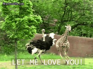Admit it, you were kind of jealous of them.