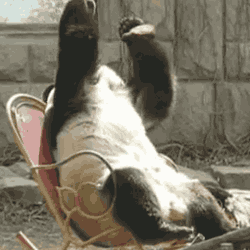 "I just had 14 beers!"