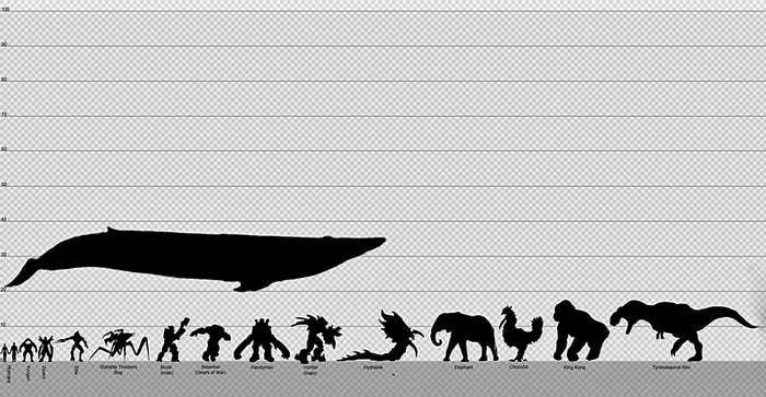 A Comprehensive Size Comparison Of (Almost) Everything