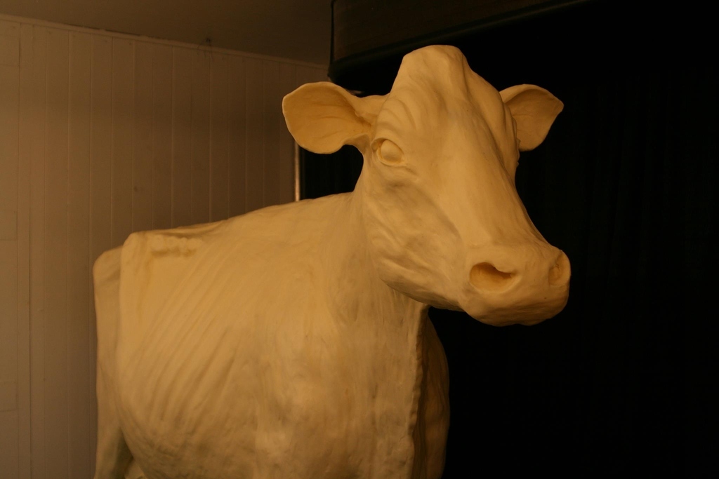 Since 1911 the Butter Cow has been a staple of the Iowa State Fair. This year's Butter Cow weighed in at nearly 600 pounds.