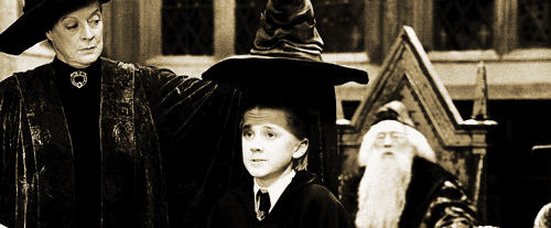 I mean, Pottermore told me I was a Gryffindor, but am I really?