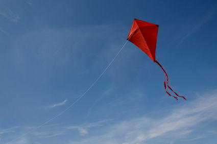 Seriously. Those people that fly kites in the middle of a crowded beach and nearly kill everyone deserved to get punched in the throat.