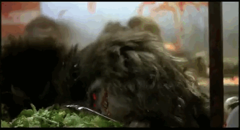 Critters 2 is the second of 4 movies based on the evil (and hungry) little aliens. In this sequel, the alien bounty hunters crash in on the critters as they feast on burgers at a fast food restaurant, hoping to blow them to smithereens once and for all.