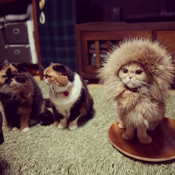 I can hear you two snickering....