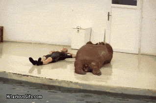 Walruses make great workout buddies.