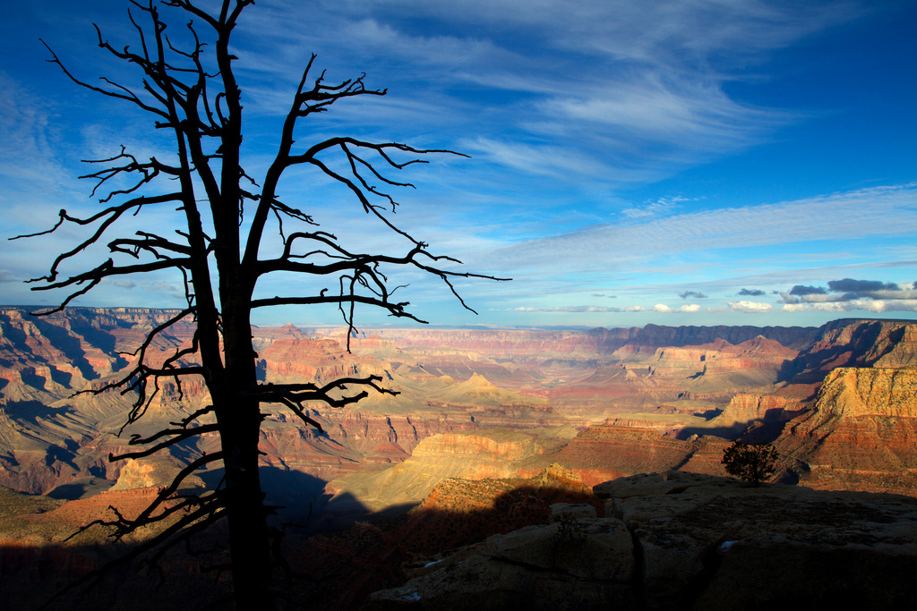 Over 5 million people visit the Grand Canyon National Park, and it's a hiking destination as well.