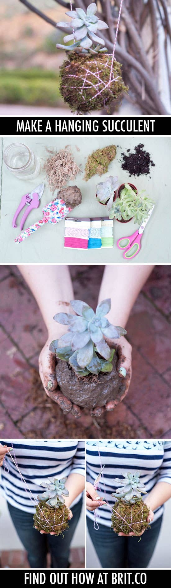 *hahahahahahahah. Succulent lovers are prone to anthropomorphization. Directions here.
