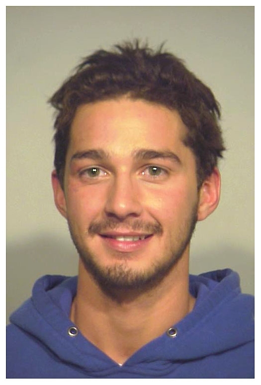 Shia LaBeouf was arrested in November 2007 after he refused to leave a Chicago Walgreens. The 21-year-old LaBeouf, who appeared to be intoxicated, was popped after he ignored a security guard's demand to leave the drugstore. The actor, pictured above in a Chicago Police Department mug shot, was hit with a misdemeanor criminal trespassing charge.