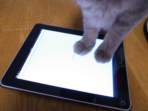 So the future is smudged screens and endless digital keyboard playing? We're in!