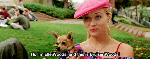 Elle decides to get some back-up.