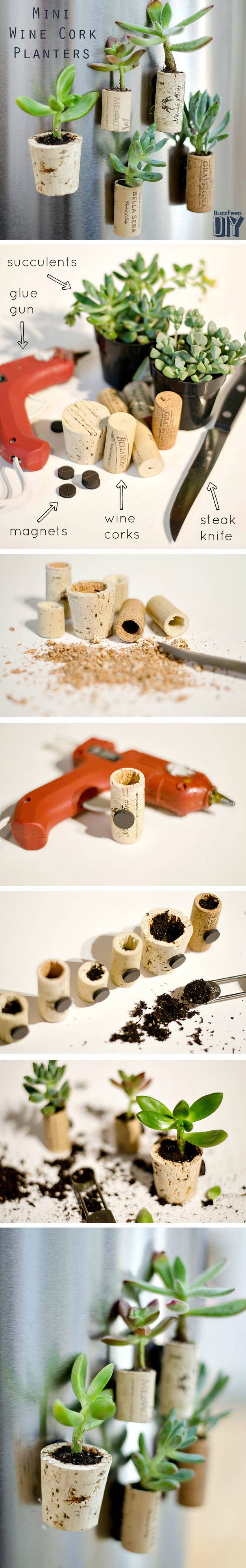 Linda from It All Started with Paint created these tiny vases from old wine corks. Here's how:Gather your materials: First, drink some wine and save a bunch of corks. You'll also need a glue gun, magnets, a steak knife, and plants. The mini vases shown contain succulents which are hardy and hard to kill.