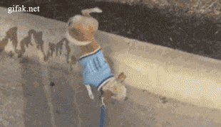 20 GIFs That'll Make You Question Reality