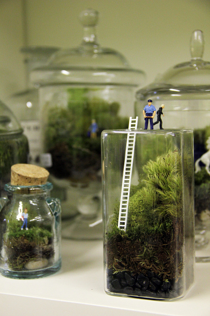 Check out Twig in Brooklyn for custom orders or classes on how to make your own.